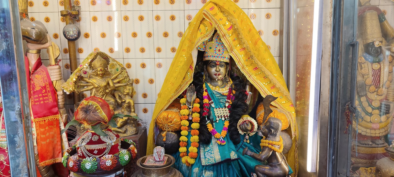 नवरात्रि में मां बगलामुखी की आराधना से मिलती है शक्ति: आचार्य प्रदीप गोस्वामी